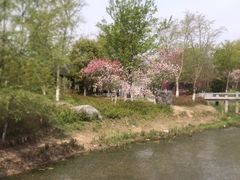 -镇江市南山风景名胜区竹林景区