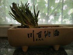 -庆泰顺