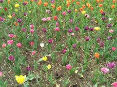 -长春公园(普阳街道)