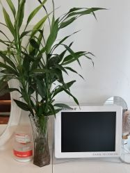 -诗碧曼养发