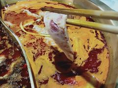 -杨家火锅(国美店)