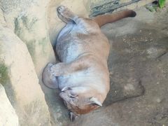 -杭州野生动物世界