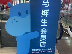 -盒马鲜生(大成店)