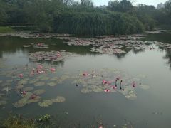 -白沙门生态公园