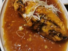 -陈麻婆豆腐总店