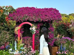 -东莞植物园