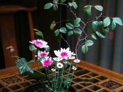 -白鹭原茶艺馆