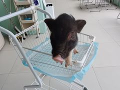 -怪兽屋·羊驼·猫咖·狗咖(俊华广场店)