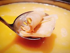 -大红袍火锅料理(尖沙咀店)