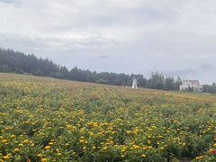 -帽儿山国家森林公园