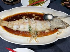 -金狮麟·新豫菜(金码大厦店)