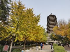 -玲珑塔公园