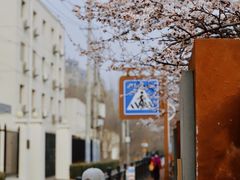 -北京丽景湾国际酒店