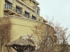 -青岛香根温泉酒店