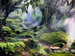 -Chom Cafe and Restaurant