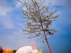 -白沙门生态公园