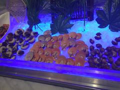 -绮梦西湖·云端餐厅(歌德店)