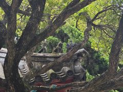 -青岛崂山太清宫