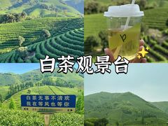 -阿露佳·舌尖上的安吉菜