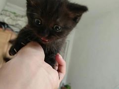 -惠康宠物医院(华能路店)