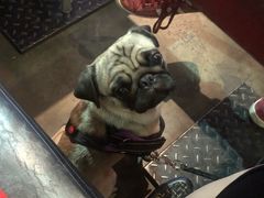 -MIKAKU(万达广场上海宝山店)