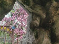 -天目湖山水园