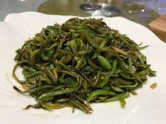 炒豆角丝-满汉楼(江畔店)