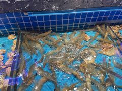 -五月罗马海鲜烤肉自助餐厅(印象城店)