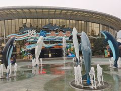 -海合安成都极地海洋公园