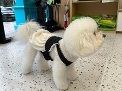 -瑞派康怡24h宠物医院·犬猫医疗中心·微创绝育(瑞景分院)