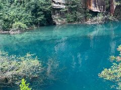 -庐山碧龙潭风景区