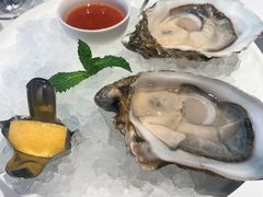 -Oyster Talks 四度蚝法餐厅