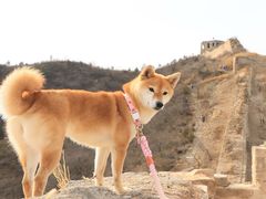-蟠龙山长城景区