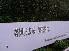 -枸杞岛