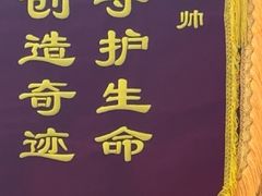 -全心全意连锁动物医院·微创中心·内科急重症·心脏专科(丰管路店)