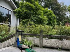 -都江堰普照寺