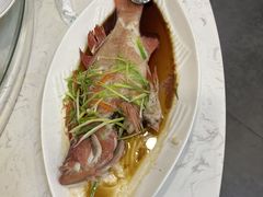 -原汁原味驴庄(长岭村店)