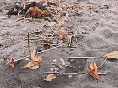 -灌篮高手动画打卡地