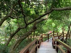 -石排湾郊野公园