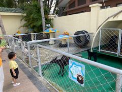 -三亚亚龙湾天域度假酒店