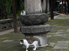 -四门塔风景区