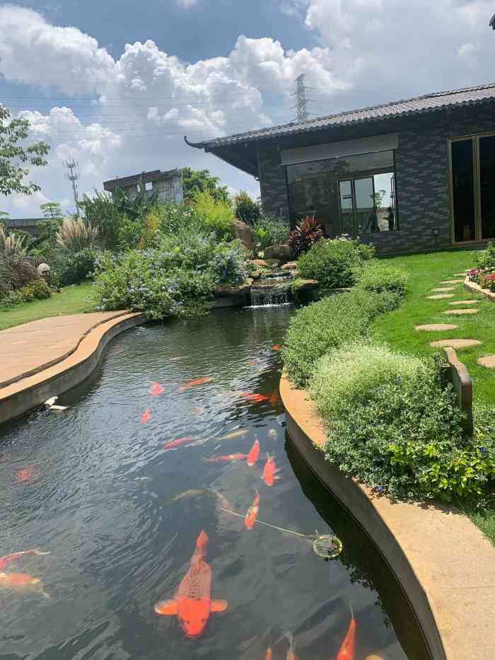 花涧私厨-"没想到吃粤菜还能打卡拍照91周末与家人.