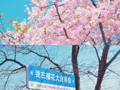 -上海辰山植物园