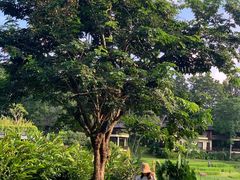 -四季酒店下午茶