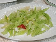 -丁老爷子苏香圆