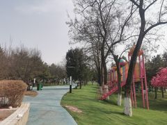 -青龙湖公园