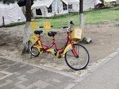 -长白岛森林公园