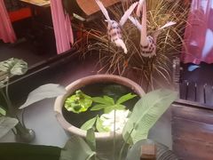 -锦上中式酒馆(南内环店)