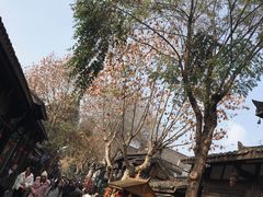 -星巴克臻选(成都宽窄巷子店)