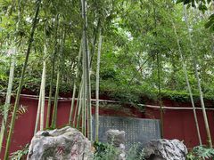 -房湖公园